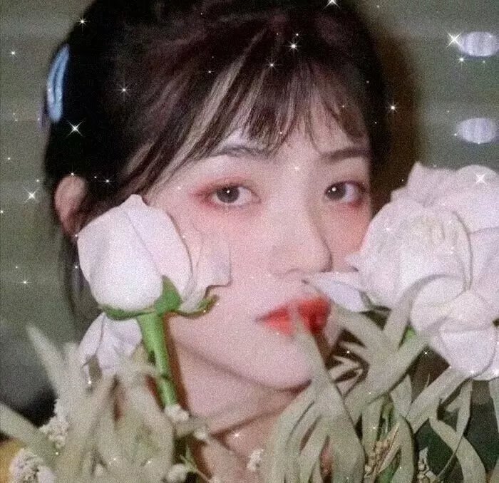坤蒂拉娜:重返秘林