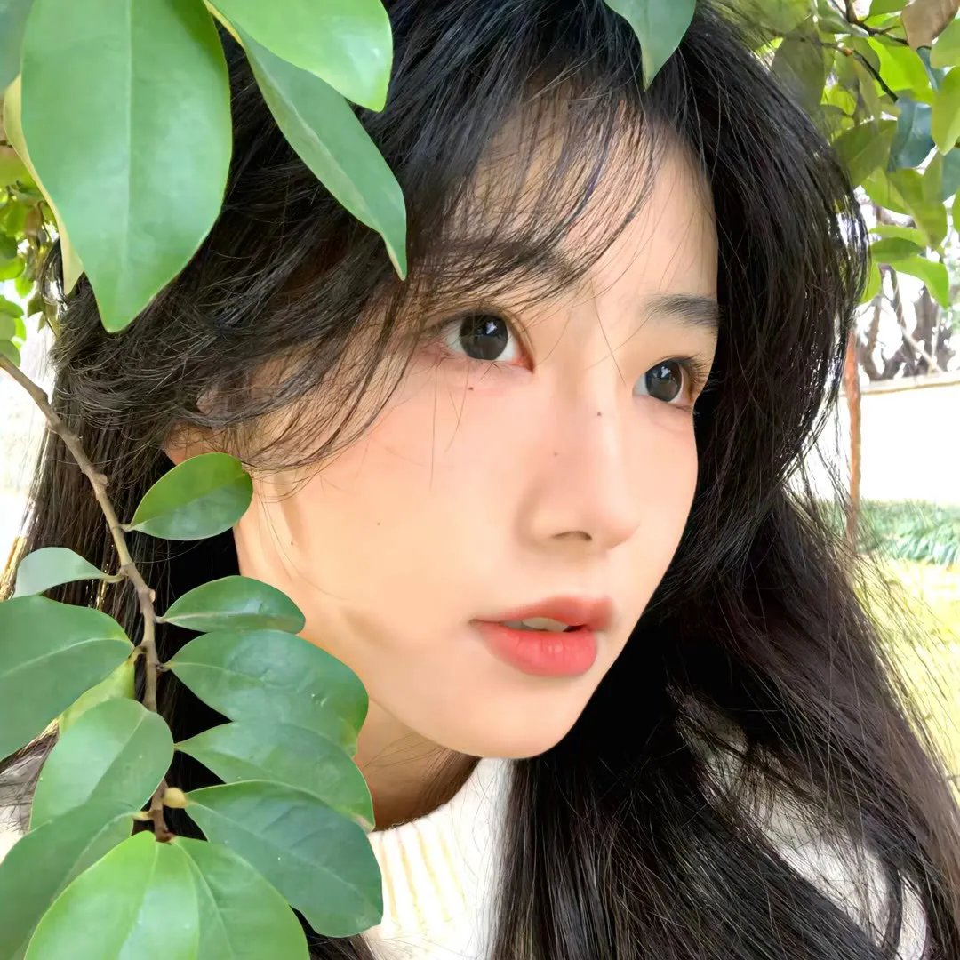 人情鬼蜮